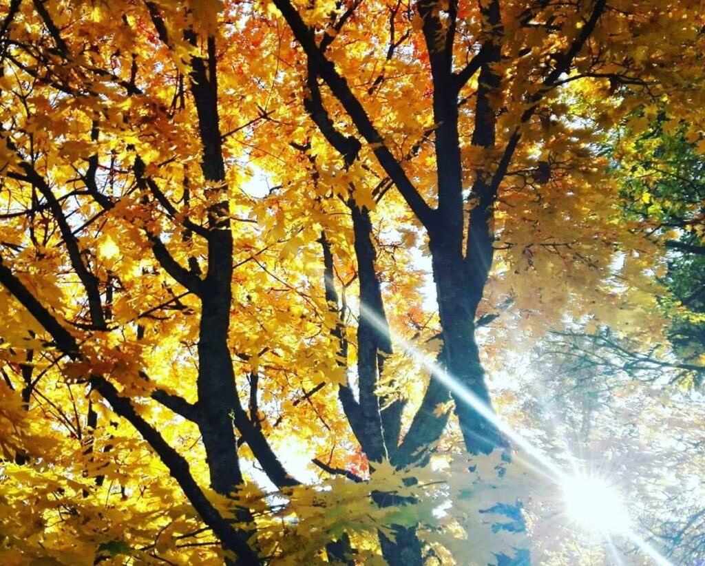 Tervetuloa syyskuu.
Poikkeusajat jatkuvat, tilanteet muuttuvat ja arjessa on mo...