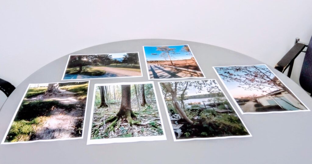 Kiitos, hienoja kuvia on jo tullut ja koko lokakuu aikaa osallistua kilpailuun! ...