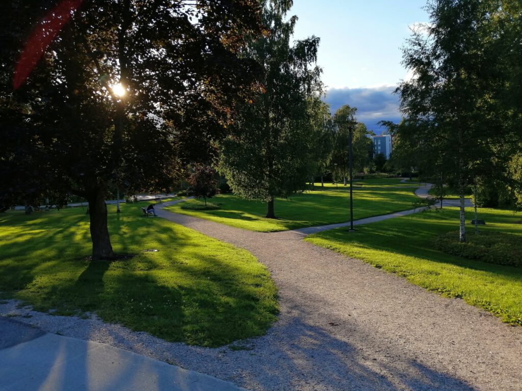 "Mun puu"- valokuvakilpailun voittajaksi raati valitsi tämän Tanja Tal...