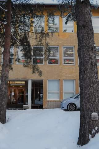Kuvassa voi olla ulkoilu ja puu