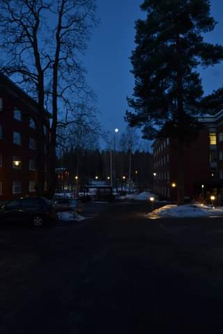 Kuvassa voi olla puu, luonto, taivas ja hämärä