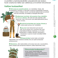 Terveellinen toukokuu -julkaisu