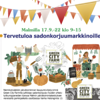 Markkinamainos