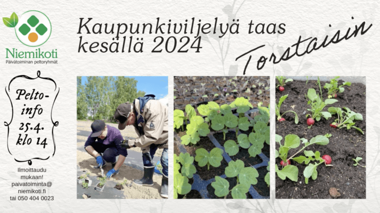 Suosittu kaupunkiviljely jatkuu kolmatta kesää