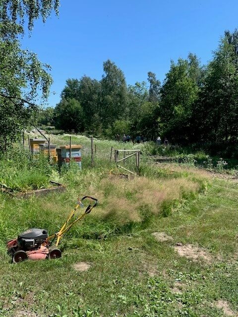 Hellettä ihan riittävästi