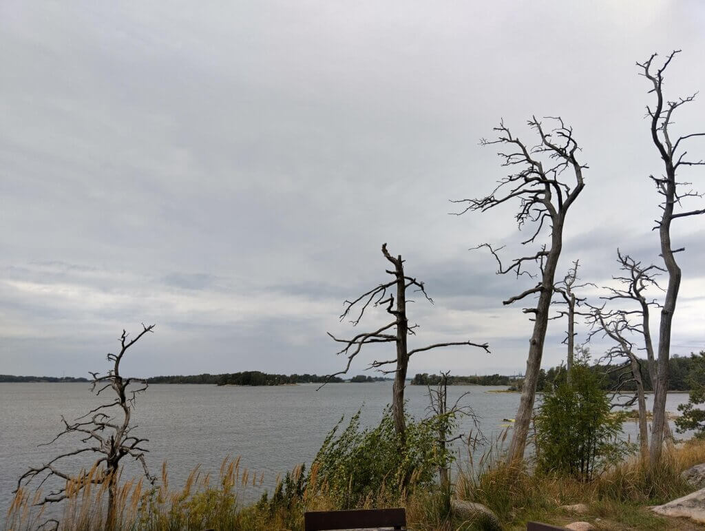 Merenrannalla seisoo kuivia, paljaaksi jääneitä puita ja taustalla näkyy rauhallinen vesimaisema.