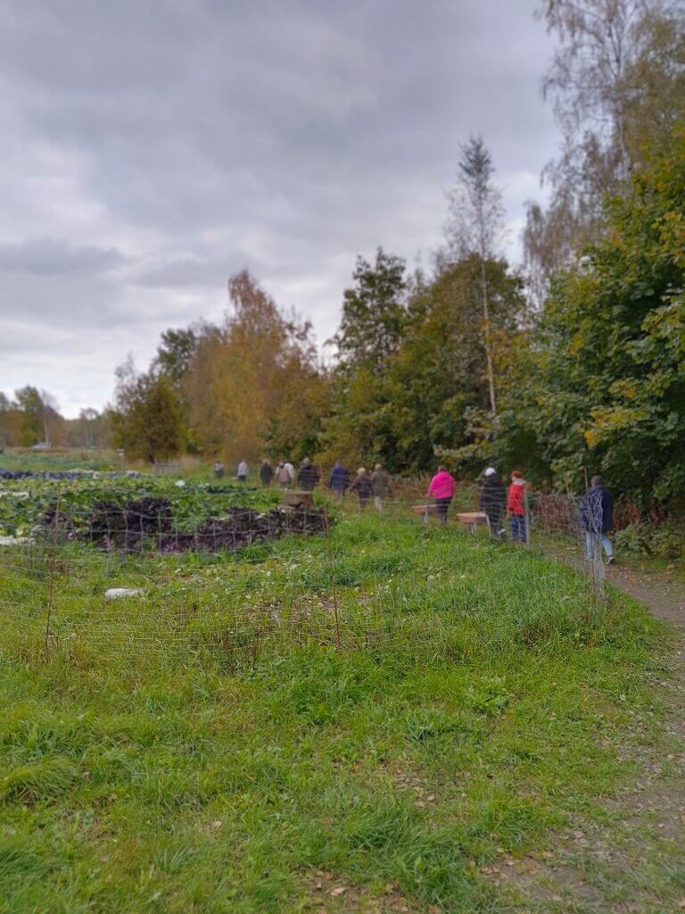 Ryhmä ihmisiä kävelee syksyisessä maisemassa, jossa on vihanneksia ja vihreää ruohoa.