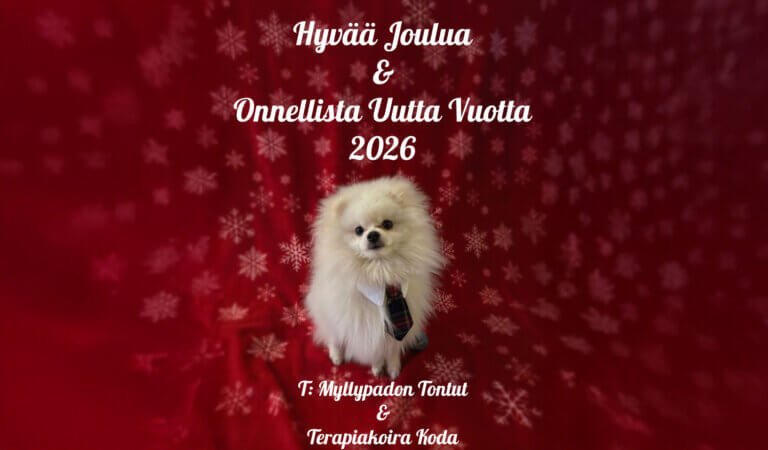Joulukortissa on valkoinen pomeranian, joka on pukeutunut solmioon, taustalla punainen lumihiutaleita sisältävä kuvio.