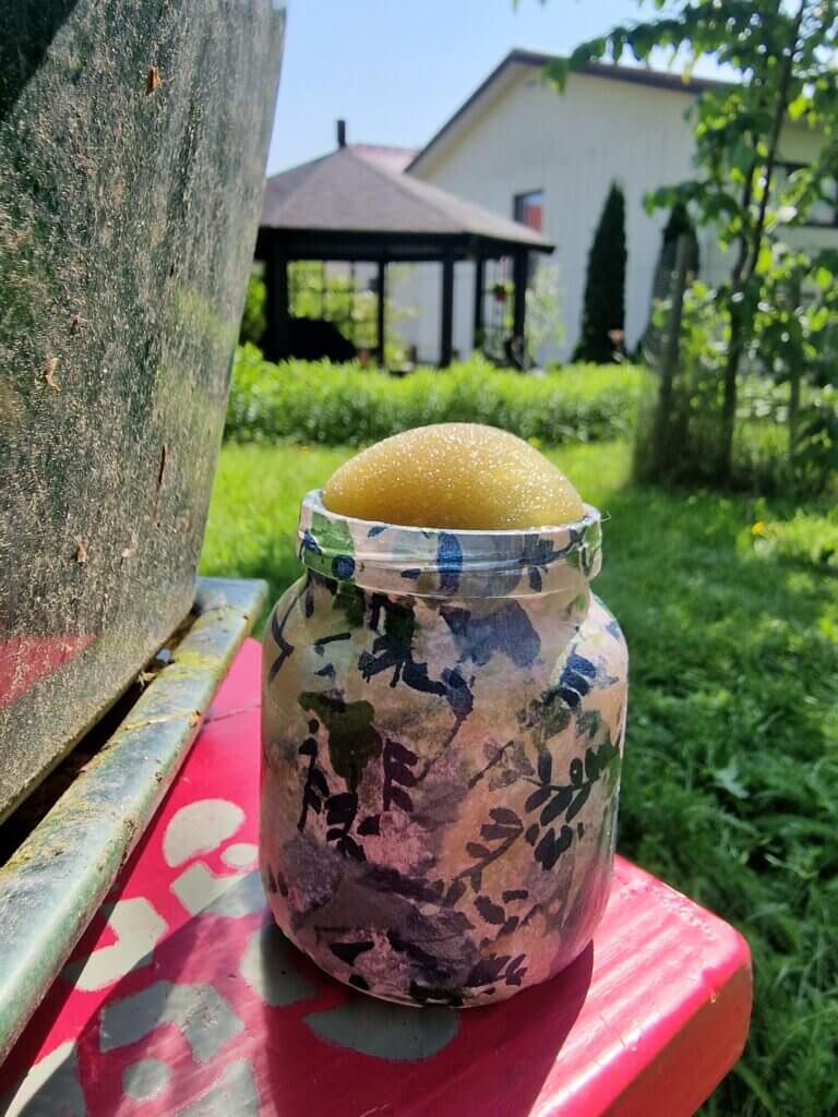 Purkki, jossa on koristeellinen kuosi, on asetettu punaiselle pinnalle vihreän ympäristön keskelle.