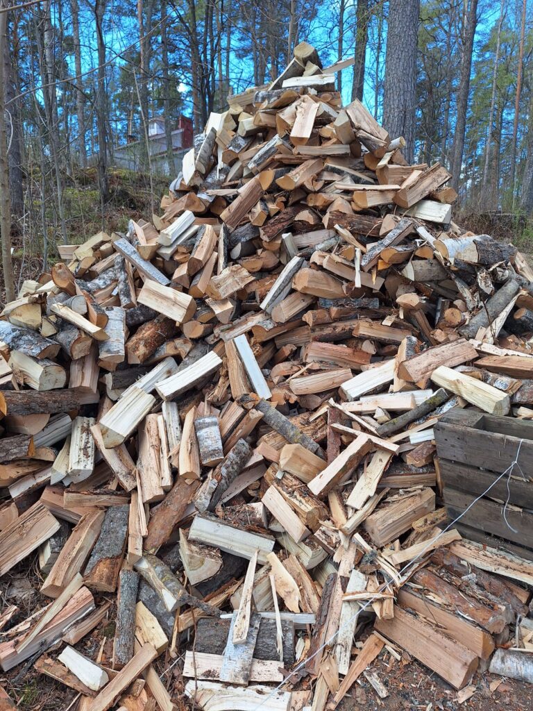 Pino puita metsässä, taustalla näkyy rakennus ja sininen taivas.