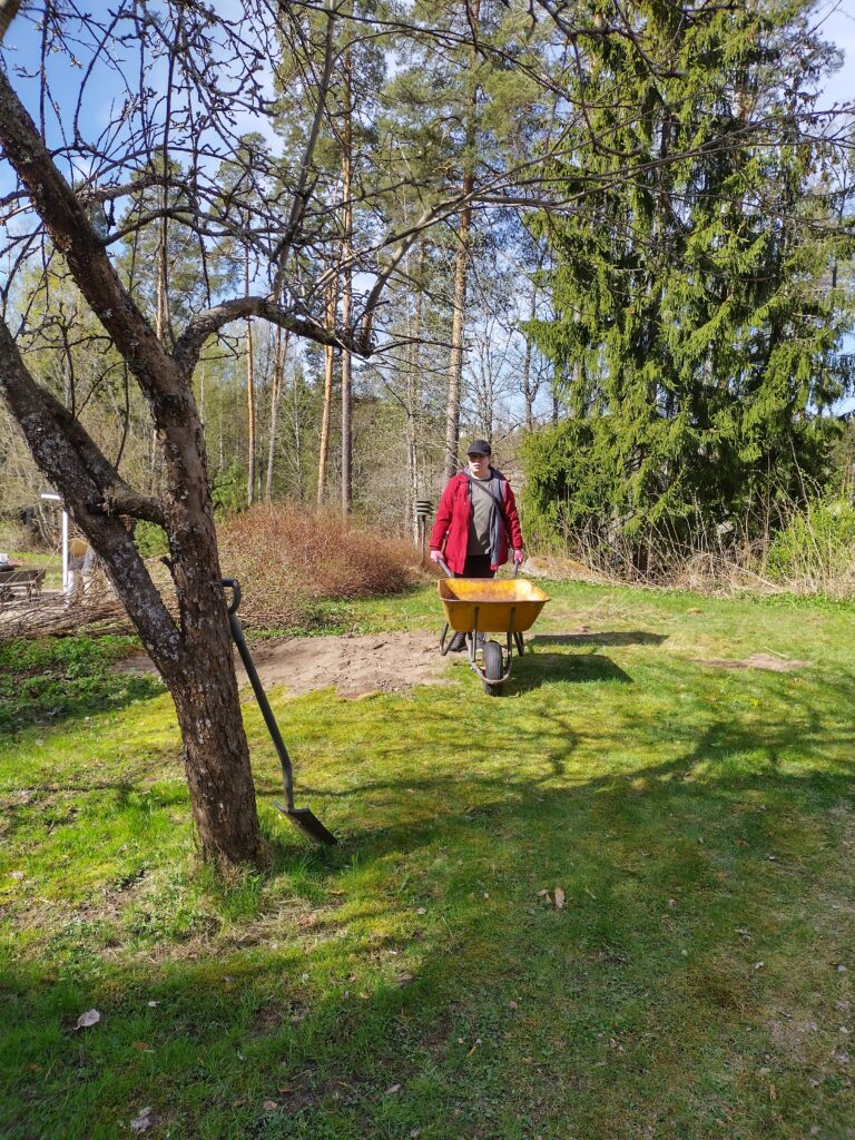 Mies kävelee puutarhassa kottikärry kädessään, taustalla puita ja pensaita.