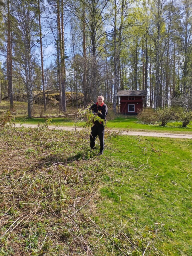 Mies siivoaa oksia aurinkoisessa metsämaisemassa, taustalla punainen mökki.