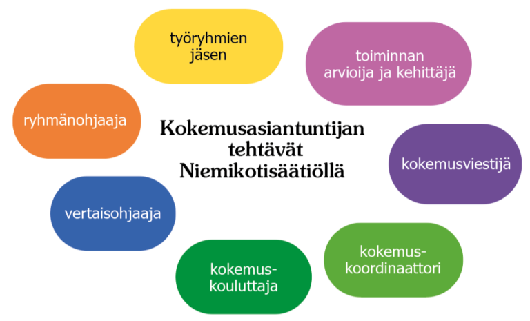 Application for Expert by Experience Training