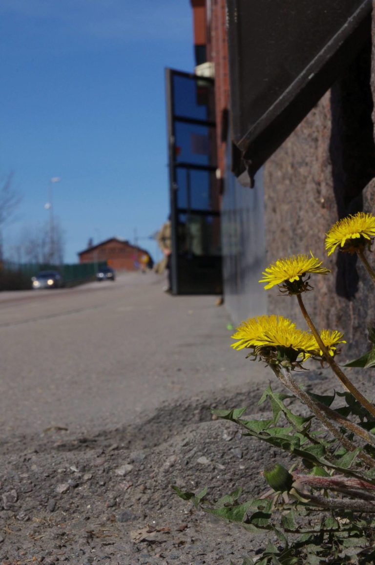 Kevät on saapunut myös Lautatarhankadulle, aurinkoista pääsiäistä kaikille!