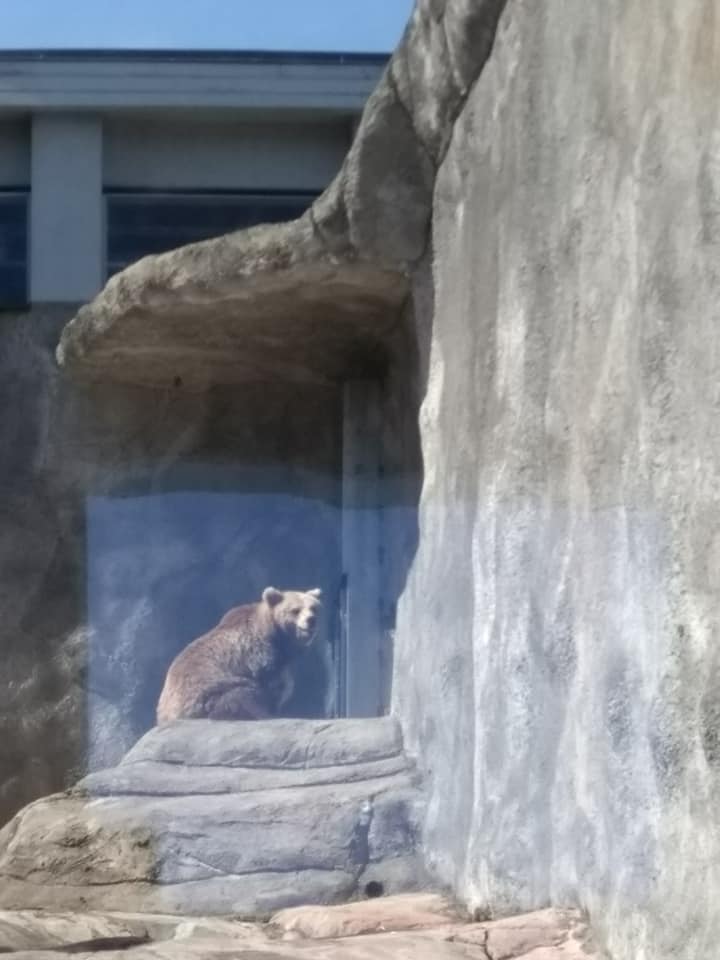 Korkeasaari retki 9.5.19