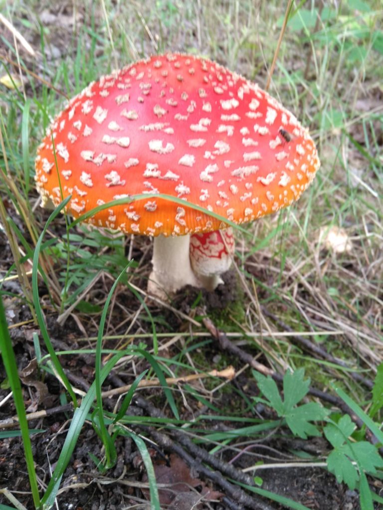 Mukavaa syksyistä maanantaita!