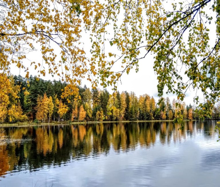 Terveiset ympäristöleiriltä Vuolenkoskelta!  Niemikotisäätiön ja Ekokompassin ko…