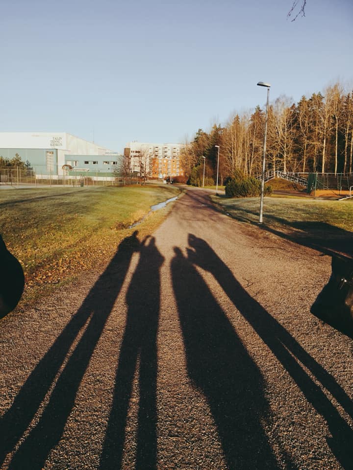 Ihanaa, marraskuun aurinko näyttäytyy! Päiväkävelyllä nautittiin valosta ja raik…