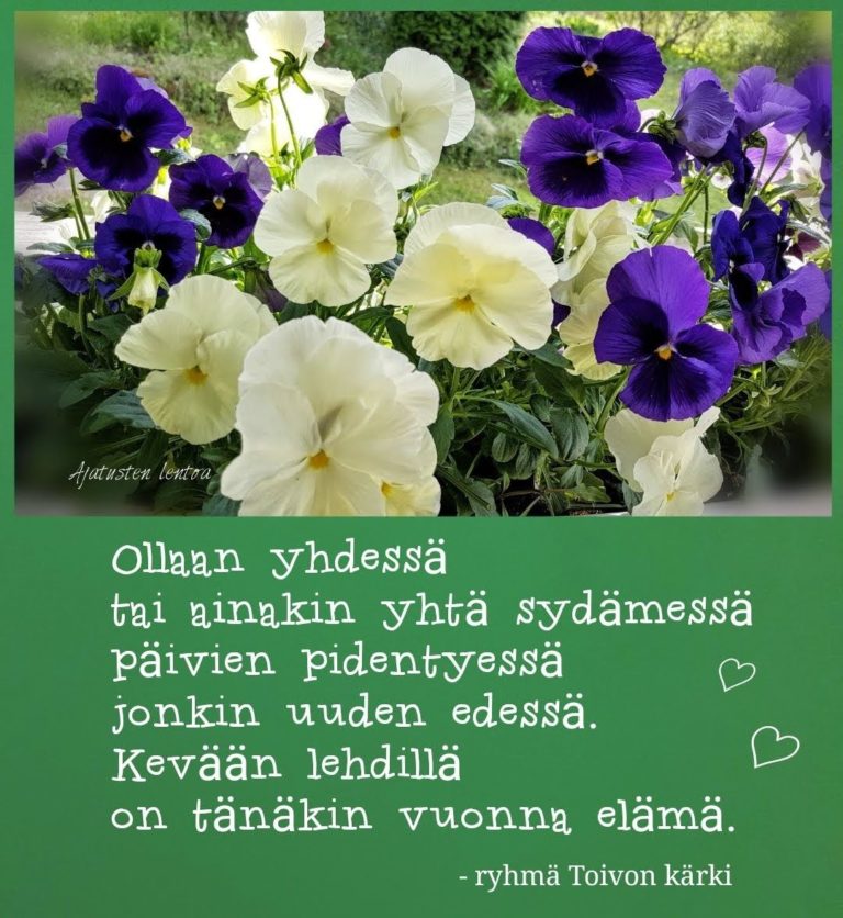 Oletko jo huomannut kevään merkkejä ulkona liikkuessasi? Entä mikä on mielestäsi…
