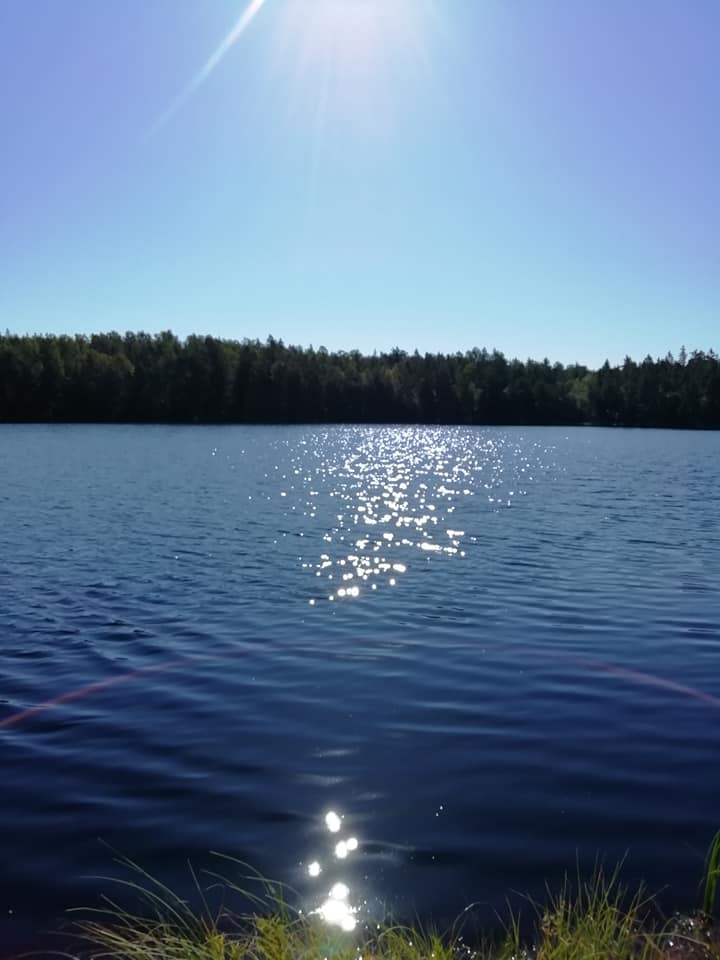 Retkipäivä. Ulkoilua ja luonnon ihmeitä täydellisessä säässä 
