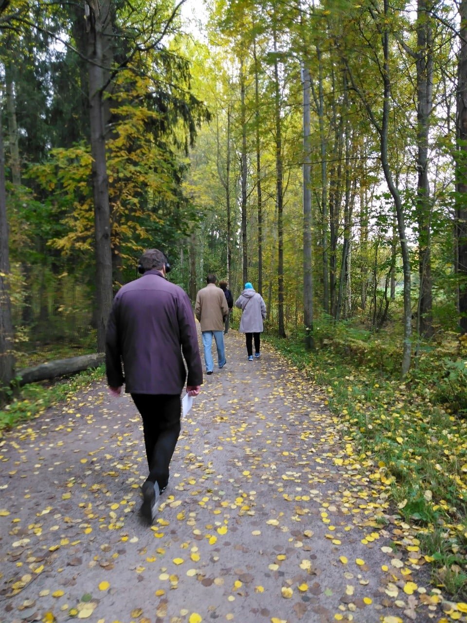 Sydänviikkoa vietettiin 27.9.-4.10.2020. 
 Meillä Haagan toimintatalossa sydänvi...