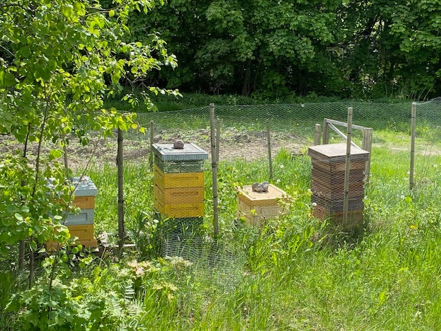 Kolme mehiläispönttöä pellon laidassa.