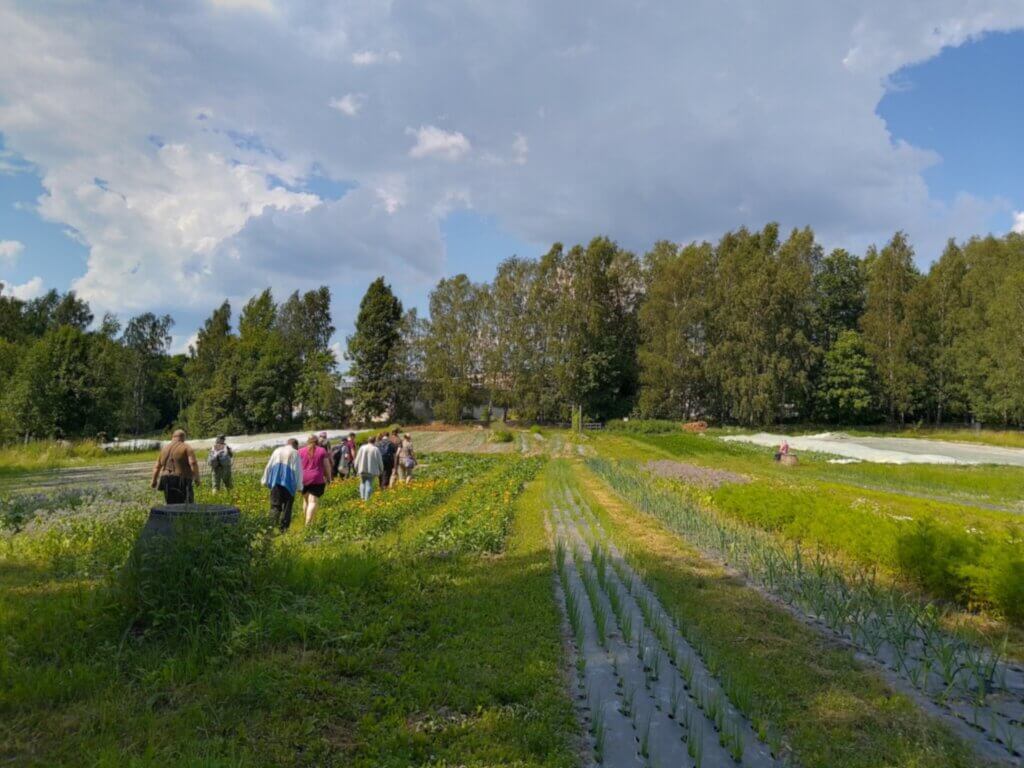Ryhmä ihmisiä kävelee pellon halki, jossa kasvaa erilaisia vihanneksia. Taustalla näkyy metsää ja taivas on puolipilvinen.